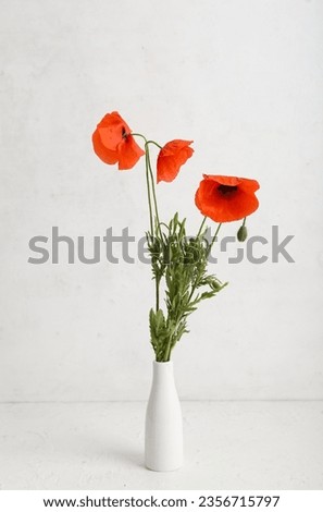 Vase with beautiful poppy flowers on light background. Remembrance Day