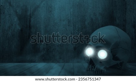Human skull head in a dark background. Scary skull Halloween concept