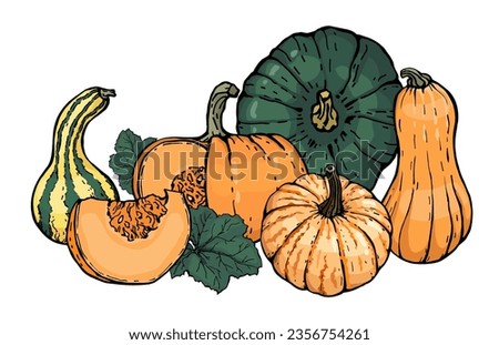 Pumpkin group. Pumpkins of various shapes, colors and characters, hand-drawn. Sketch. Vector illustrated clipart.