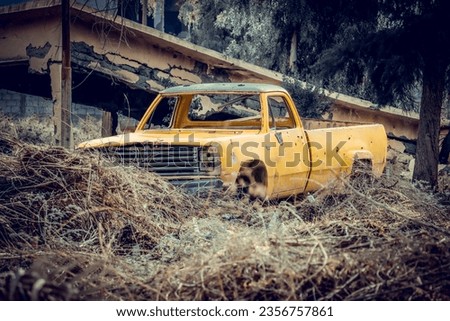 An old car was destroyed due to the war in Syria and was neglected to become part of the surrounding nature