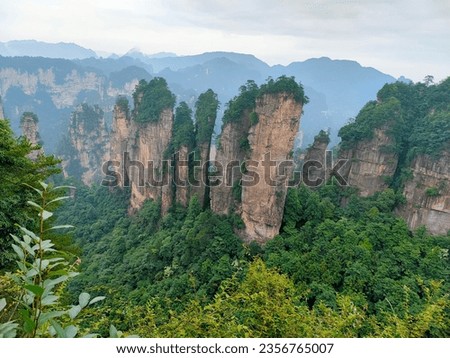 Scenic Zhangjiajie National Forest Park UNESCO heritage in China's Hunan province, the pillar mountains from Avatar movie Royalty-Free Stock Photo #2356765007