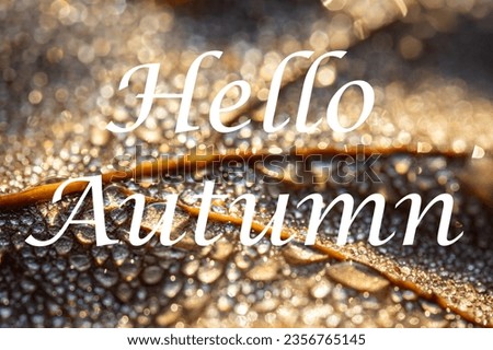 The words Hello Autumn on the background of autumn fallen leaf with dew drops. Greeting card. The concept of the beginning of autumn season.