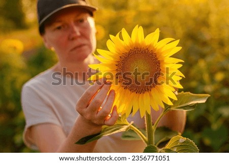 Woman agronomist and farm worker wearing trucker's hat examining crops in blooming sunflower field. Agriculture and farming concept. Selective focus. Royalty-Free Stock Photo #2356771051