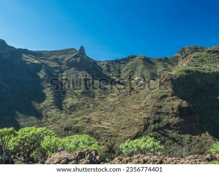 Scenic landscape with Roque de Imada rock and village at hiking trail Barranco de Guarimiar Gorge. Green mountain canyon with palm trees and succulent vegetation. La Gomera, Canary Islands, Spain
