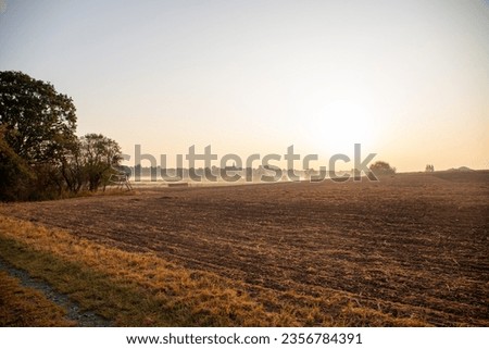Panoramic view in the morning of an Agra field with light fog. High quality photo