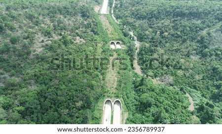 The wildlife corridor, which links Khao Yai and Thap Lan national parks, Thailand, Take a photo by drone Royalty-Free Stock Photo #2356789937