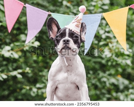 Charming puppy, stretched holiday flags and green trees. Close-up, outdoor. Congratulations for family, loved ones, friends and colleagues. Pets care concept