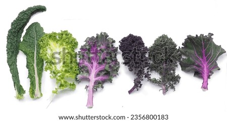 organic vegetable pictures Suitable for people who love health like you.