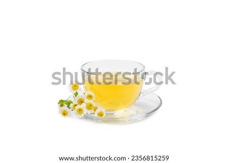 Herbal tea with fresh chamomile flowers isolated on white background. Calming and relaxing drink. Immunity.Cup of hot chamomile tea. Tea drinking concept. Tea ceremony.