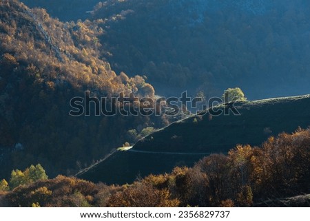Autumn landscape in the mountains. Colorful forest. Transylvania, Romania