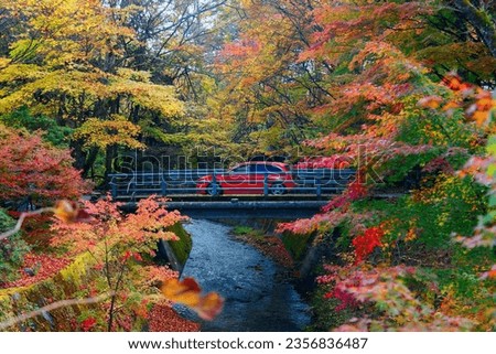 Autumn scenery of a red car driving thru a bridge over a stream in the forest with beautiful fall colors on the riverside, in Karuizawa 軽井沢, which is a popular tourist destination in Nagano, Japan Royalty-Free Stock Photo #2356836487