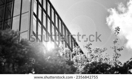 Glass modern building with blue sky background. View and architecture details. Urban abstract - windows of glass office building in  sunlight day. Black and white.