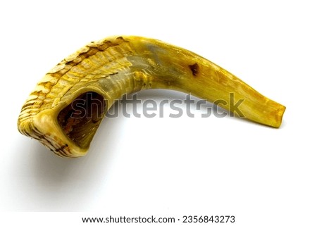 shofar (horn) jewish traditional symbol .Shofar on white background. Rosh Hashanah (Jewish New Year) and Yom Kippur  celebration Royalty-Free Stock Photo #2356843273