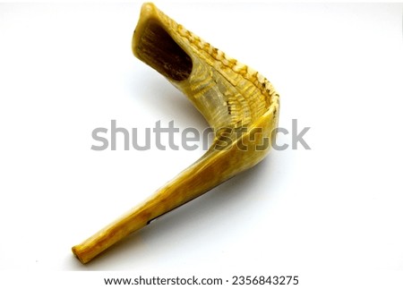 shofar (horn) jewish traditional symbol .Shofar on white background. Rosh Hashanah (Jewish New Year) and Yom Kippur  celebration Royalty-Free Stock Photo #2356843275