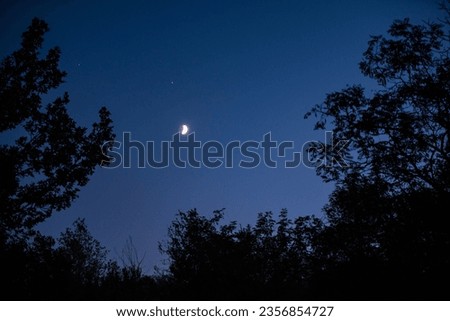 Moon at the first quarter rising over the forest. Natural satellite of the earth in conjunction with planet Jupiter and Saturn 