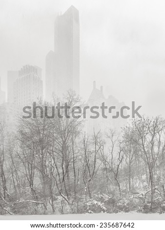 Winter snowfall and cold wind in Central Park making the towering New York buildings disappear in the distance and turning the city exceptionally silent. Cityscape during a snowstorm.