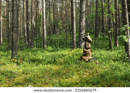 small cairn, a pyramid of stones in a coniferous forest