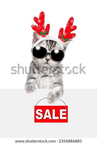 Cute kitten dressed like santa claus reindeer  Rudolf looking above empty white banner and showsing signboard with labeled "sale". isolated on white background