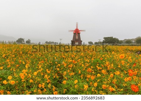 a landscape of autumn fields with cosmos in bloom