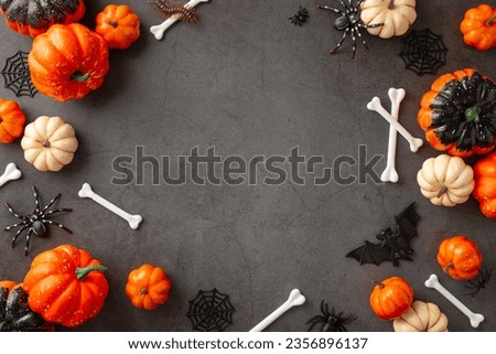 Craft a spooky Halloween greeting. Top view picture of themed setup: pumpkins, crawly spiders, centipede, spiderweb, bat, bones on textured concrete wall backdrop. Empty frame for text or promotion