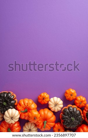 Unveil the thrill of Halloween with an intriguing top-down vertical snapshot showing jack-o-lanterns decorations on dark purple background, offering an inviting space for your promotional text or ads