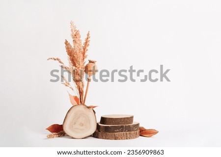 Autumn podium for product with wood and dried flowers on white background. Autumn fall decoration