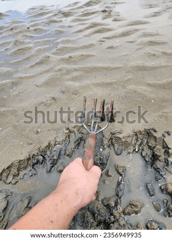 A picture of digging clams in the Korean sea