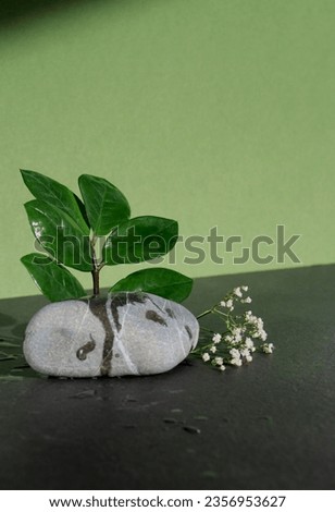Empty minimal product mock up with a stone, flowers and green leaves, green and yellow background with copy space