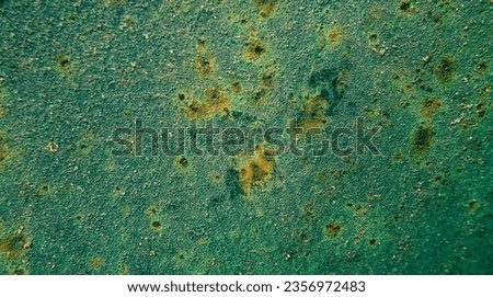 green plaster - the photo can be used as a background