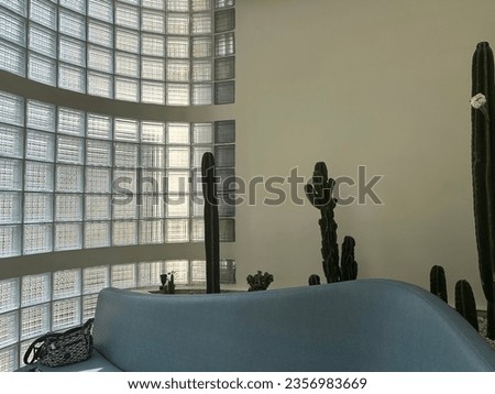 Cactus plants in the room, as decoration. Looks harmonious and harmonious, people who sit there will feel comfortable. 