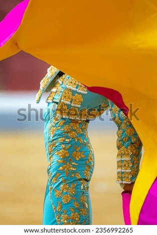 THE TYPICAL SPANISH BULL AND BULLFIGHT TRADITION Royalty-Free Stock Photo #2356992265