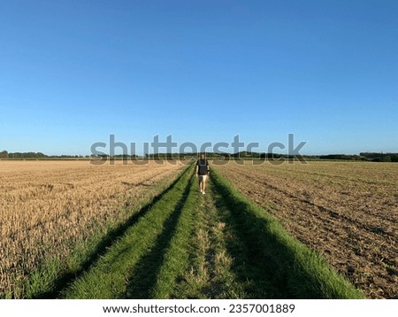 Lost in the vastness of rural beauty, a solitary figure walks through endless fields of green. Amidst the whispers of the wind and the rustling of crops, a tranquil moment of connection with nature un Royalty-Free Stock Photo #2357001889