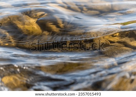 Rocky bottom of a mountain river through clear water