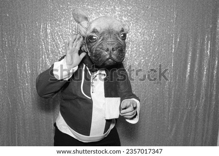 Dog Man. Photo Booth. A man wears a Dog Mask and poses for his pictures to be taken while in a Photo Booth at a Wedding or Party. People world wide love a Photo Booth. Photo Booths take fun pictures. 
