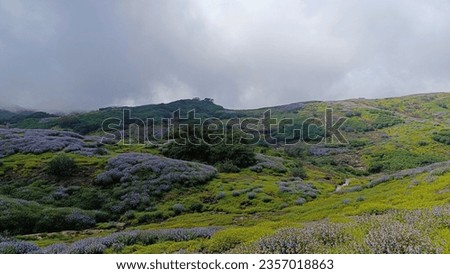 Mountains view with flower background.