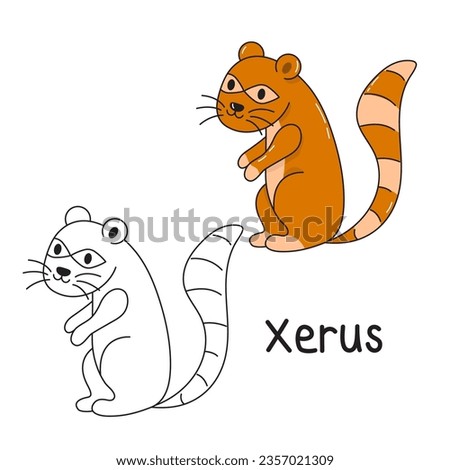 Vector illustration. Coloring book , Coloring Xerus. Cartoon animal. Clipart set for nursery poster, Practice skills