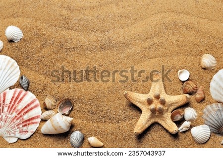 Pictures of shells and dead starfish on the beach serve as illustrations and backgrounds.
