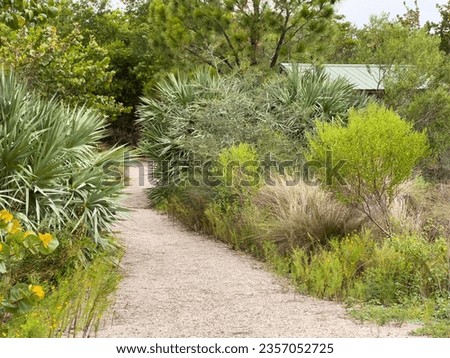 Connector trail flanked by dense tropical vegetation near a shelter for hikers, runners, and cyclists in a county nature preserve and conservation area along the Gulf Coast of southwest Florida