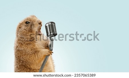 Funny gopher sings karaoke into a vintage microphone. Gopher screaming into a microphone, concept. Voice recording, creative idea. Cool gopher performance Royalty-Free Stock Photo #2357065389