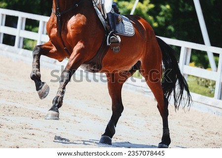 Horse jumping, Equestrian sports, Show jumping. The rider. Horse legs close up Royalty-Free Stock Photo #2357078445