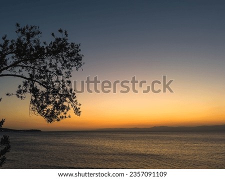 Beautiful sunset tropical beach with palm tree and pink sky for travel and vacation in holiday relax time. High quality photo