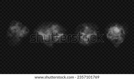 Set of translucent white clouds of smoke. Vector realistic design elements of fog and haze