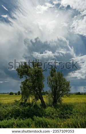 Thunderstorm front with threatening looking cloud formation, from which partly rain falls, over a river floodplain with meadows, bushes and a tree in the foreground, sunny weather, Germany, Oderbruch Royalty-Free Stock Photo #2357109353