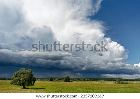 Thunderstorm front with threatening cloud formation, from which partly rain falls, over a flat floodplain landscape with meadows and single trees, sunny weather, Germany Poland border area, Oderbruch Royalty-Free Stock Photo #2357109369