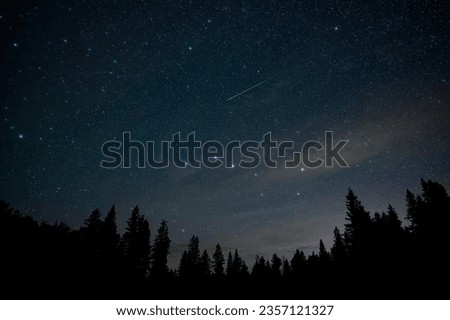 The night sky filled with stars including the Big Dipper and a bright green meteor above a skyline of dark evergreen trees. This was part of a meteor shower.  
