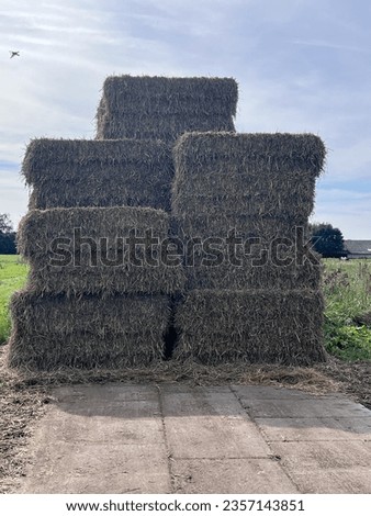 Square Shaped Hay Bales in Photograph.