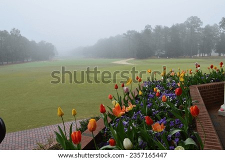 A view of the famed Pinehurst number two golf course during a foggy spring morning.  Royalty-Free Stock Photo #2357165447