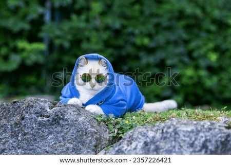 Big Cat rapper in a blue sweatshirt, with a chain around his neck and sunglasses outside
