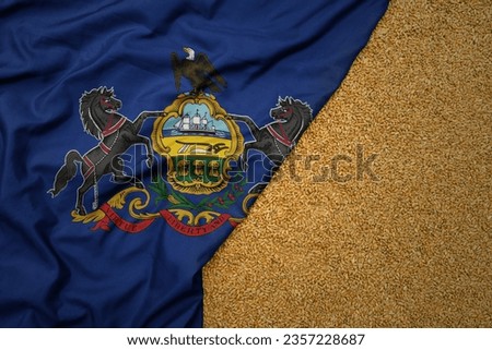 wheat grain on the waving colorful big flag of pennsylvania state .macro shot.