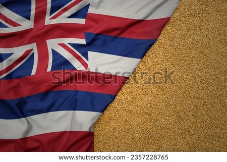 wheat grain on the waving colorful big flag of hawaii state .macro shot.